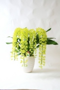 ����ޥȥե���ࡡ���꡼�󡡡㥢������Ω�ơ�