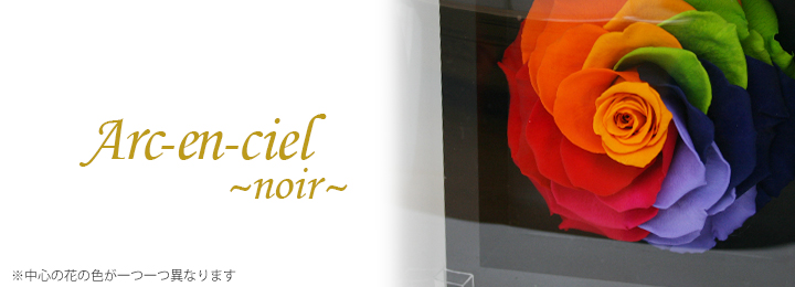 アルカンシェル・ノワール(M)