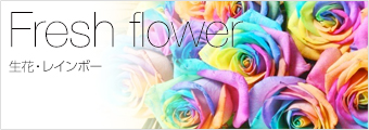 生花・レインボーから選ぶ