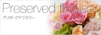 プリザーブドフラワーから選ぶ