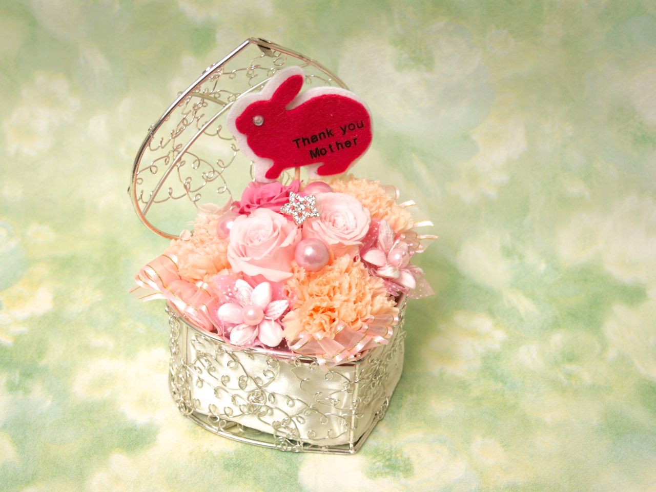 [イタリアンデザイン]carino～カリーノ～