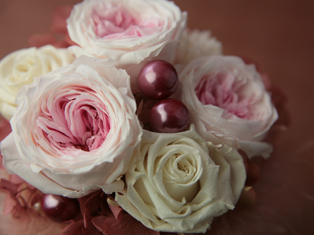 コットンキャンディローズ