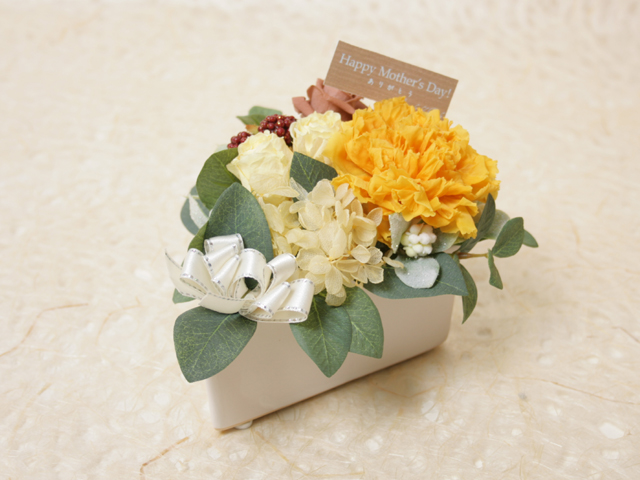 la elfe de fleurs～花の妖精～