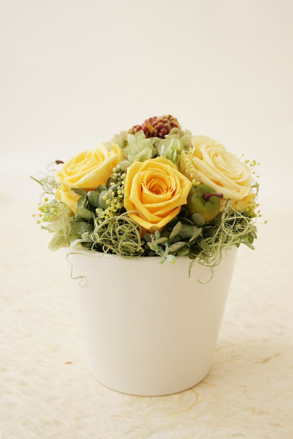 【お祝いに】　[イタリアンデザイン] プリマベーラ