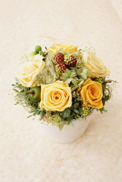 【お祝いに】　[イタリアンデザイン] プリマベーラ